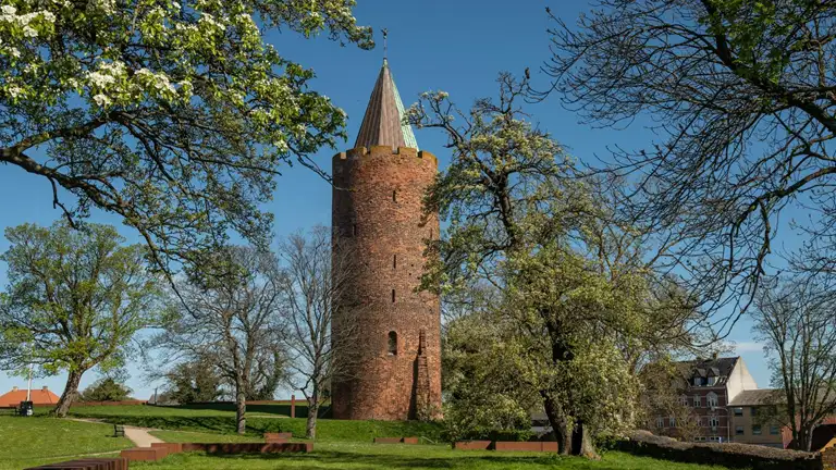 Gåsetårnet en forårsdag