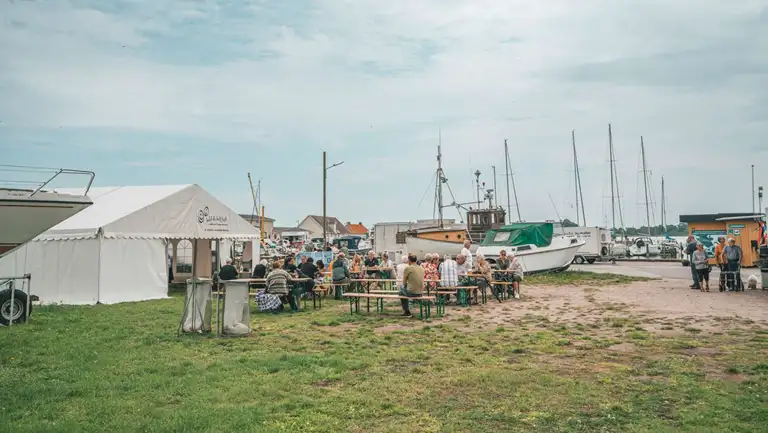 Sommerstemning på Kalvehave Havn